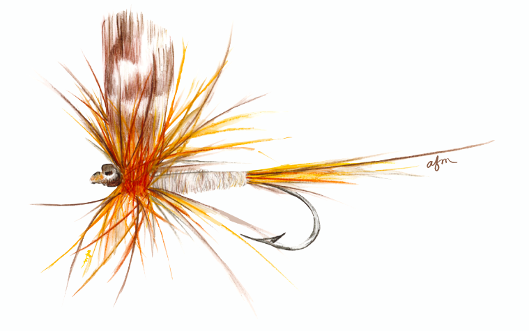 Adams Fly Highline Cuffed Beanie in Honey