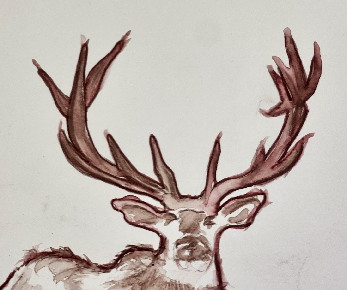 Elk Cut Above Trucker Hat in Black