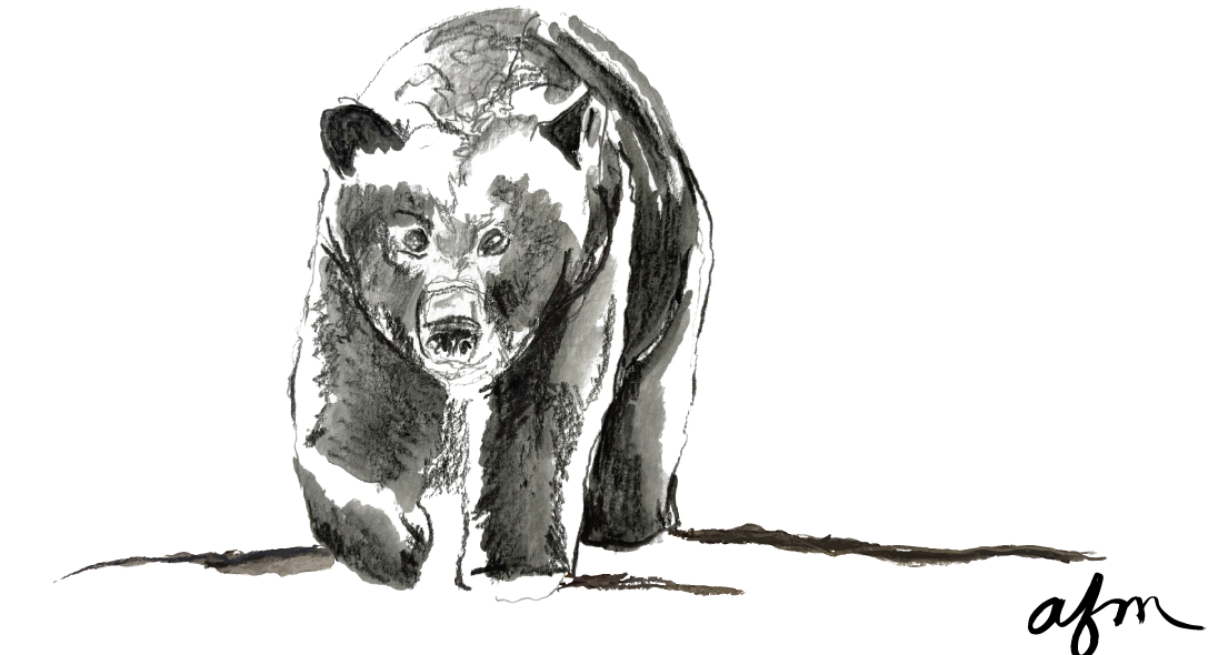 Black Bear Ribbed Cuffed Beanie in Marled Brown