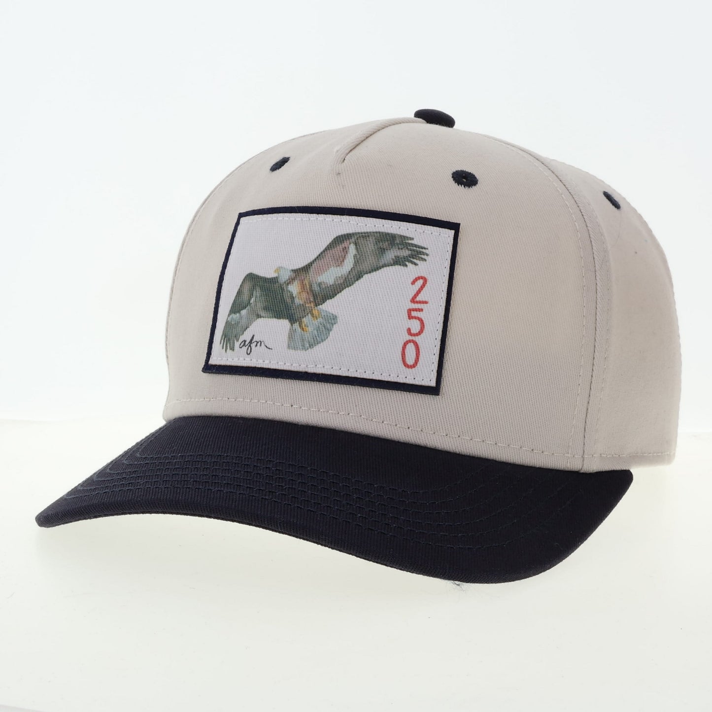 American Eagle Heritage Twill Hat in Stone/Navy