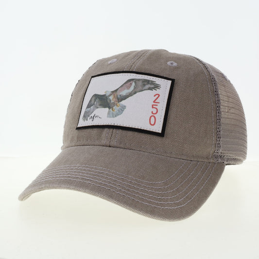 American Eagle Dashboard Trucker Hat in Grey
